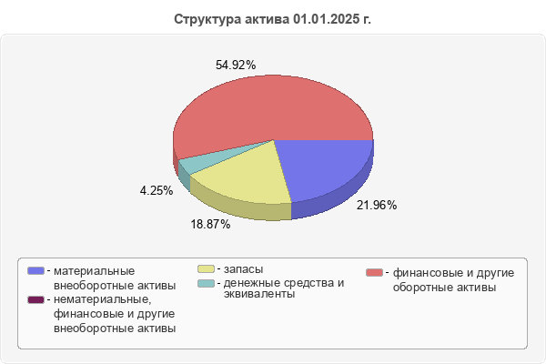 Структура актива 01.01.2025 г.