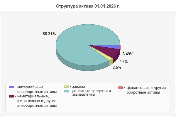 Структура актива 01.01.2026 г.