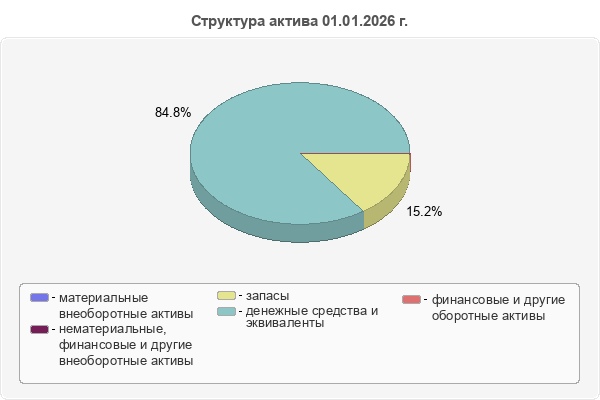 Структура актива 01.01.2026 г.
