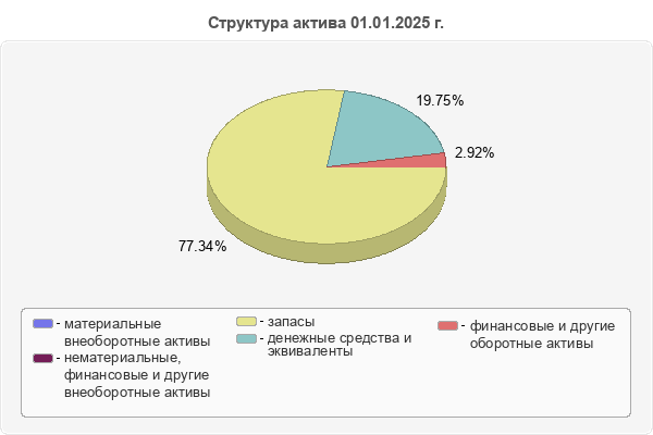 Структура актива 01.01.2025 г.