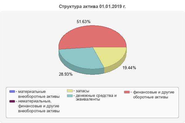 Структура актива 01.01.2019 г.