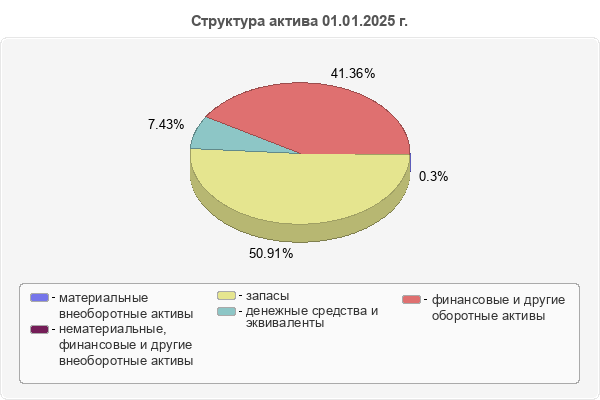 Структура актива 01.01.2025 г.