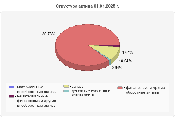 Структура актива 01.01.2025 г.