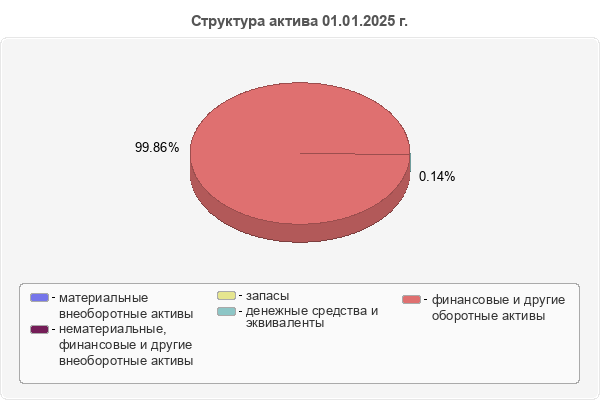Структура актива 01.01.2025 г.