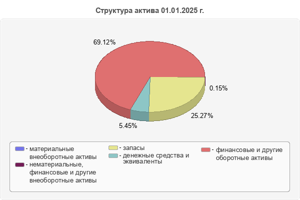 Структура актива 01.01.2025 г.