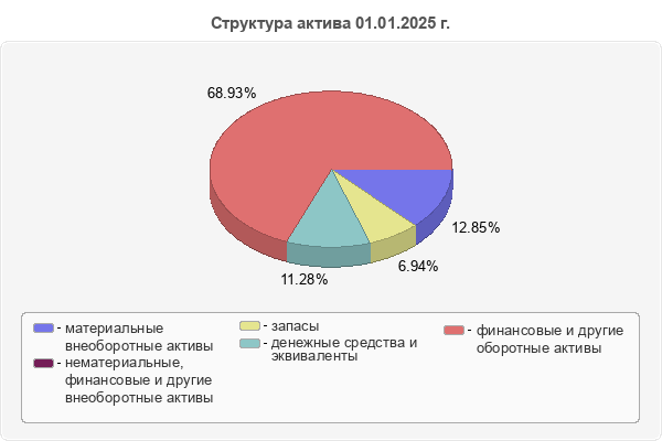 Структура актива 01.01.2025 г.