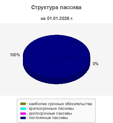 Структура пассива