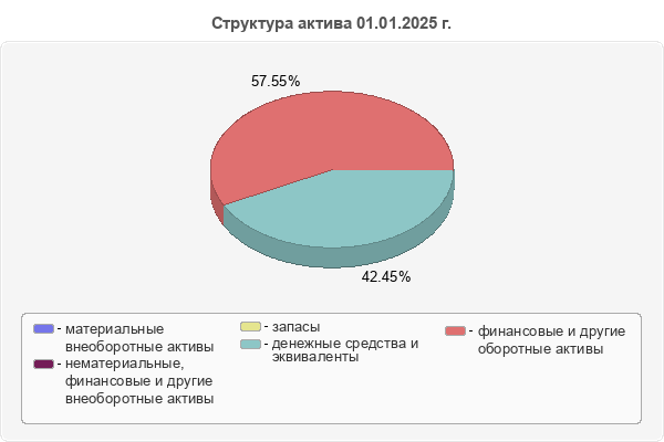 Структура актива 01.01.2025 г.