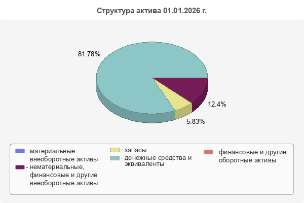Структура актива 01.01.2026 г.