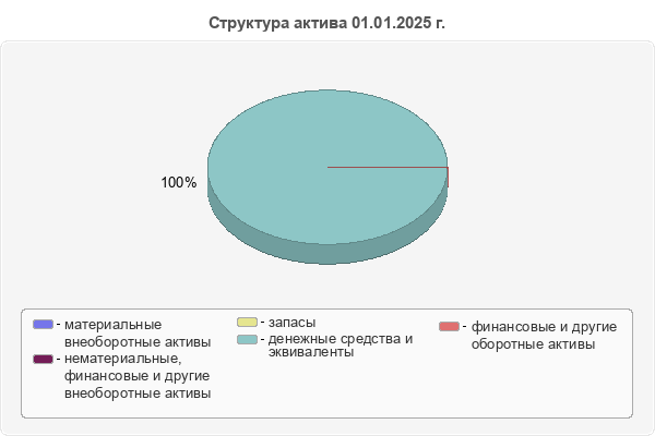 Структура актива 01.01.2025 г.