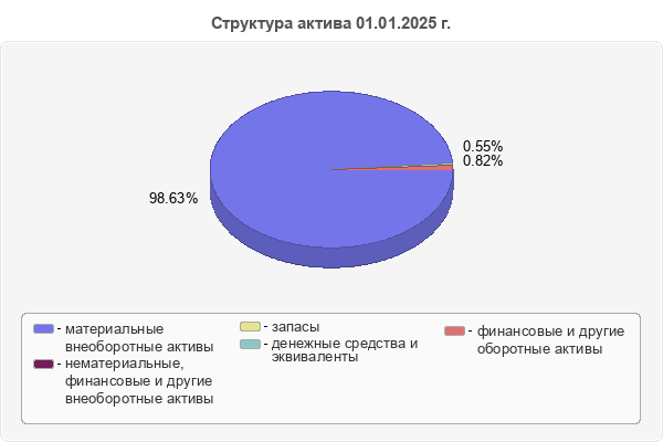 Структура актива 01.01.2025 г.