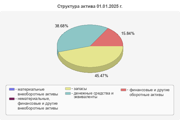 Структура актива 01.01.2025 г.