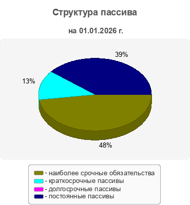 Структура пассива