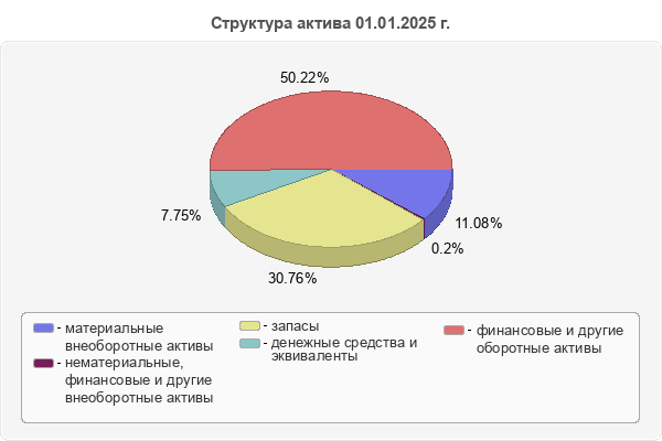Структура актива 01.01.2025 г.