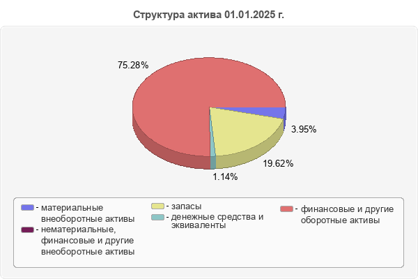 Структура актива 01.01.2025 г.