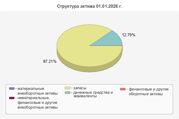 Структура актива 01.01.2026 г.