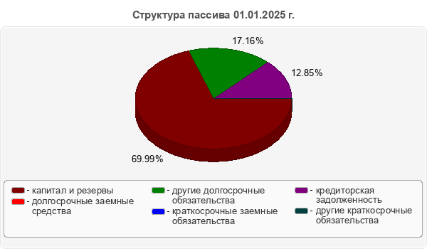Структура пассива 01.01.2025 г.
