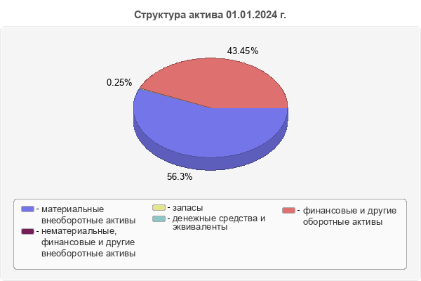 Структура актива 01.01.2024 г.
