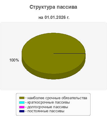 Структура пассива