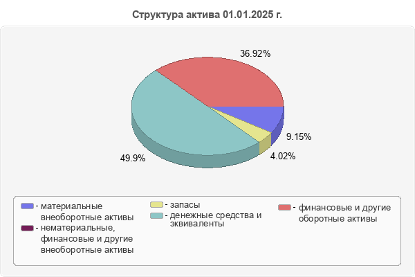 Структура актива 01.01.2025 г.