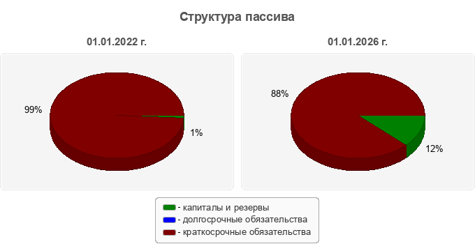 Структура пассива
