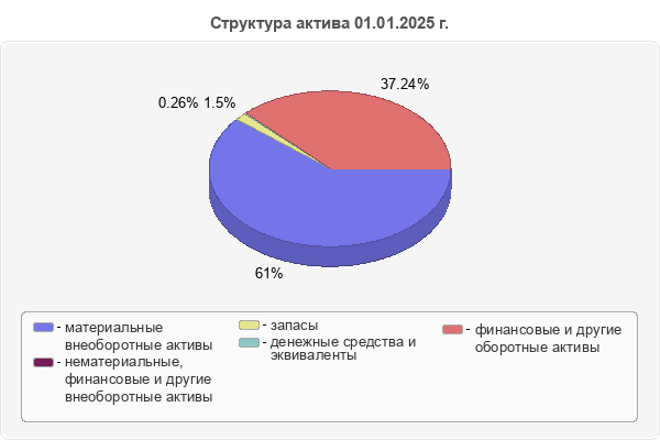 Структура актива 01.01.2025 г.