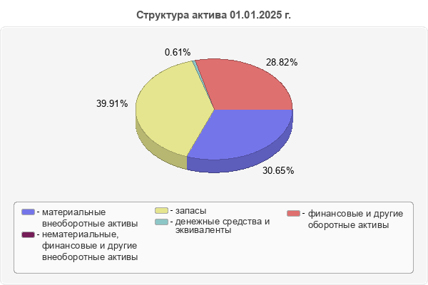 Структура актива 01.01.2025 г.