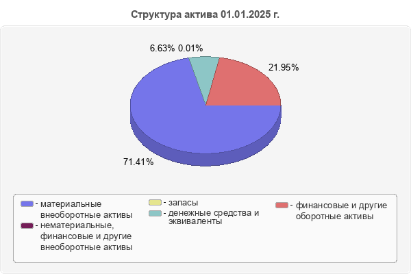 Структура актива 01.01.2025 г.