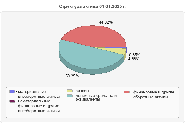Структура актива 01.01.2025 г.