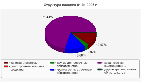 Структура пассива 01.01.2025 г.