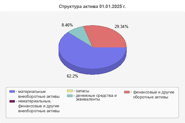 Структура актива 01.01.2025 г.