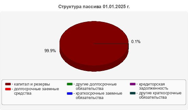 Структура пассива 01.01.2025 г.