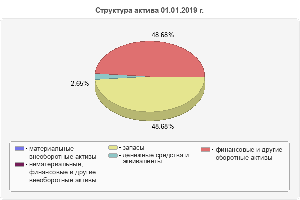 Структура актива 01.01.2019 г.