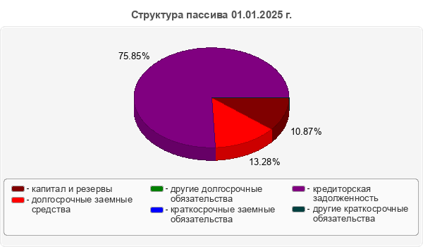 Структура пассива 01.01.2025 г.