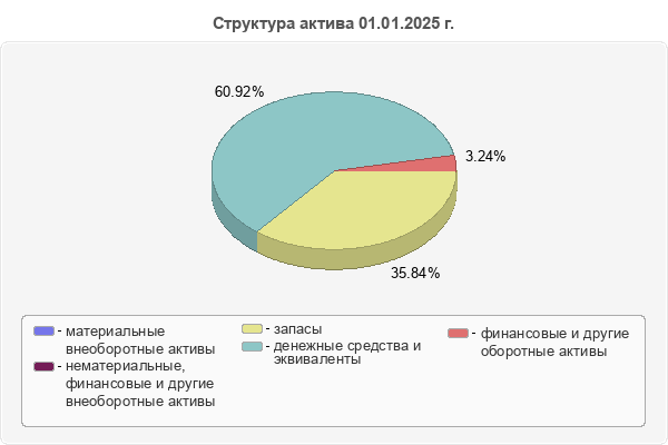 Структура актива 01.01.2025 г.