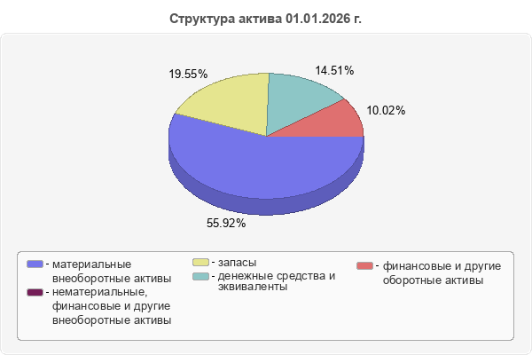 Структура актива 01.01.2026 г.