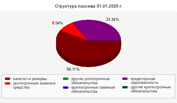 Структура пассива 01.01.2025 г.