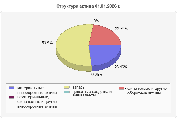 Структура актива 01.01.2026 г.