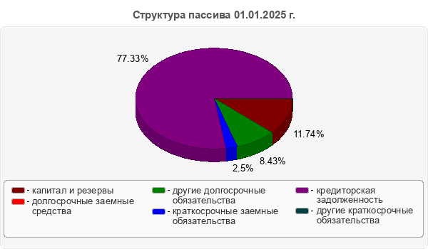 Структура пассива 01.01.2025 г.