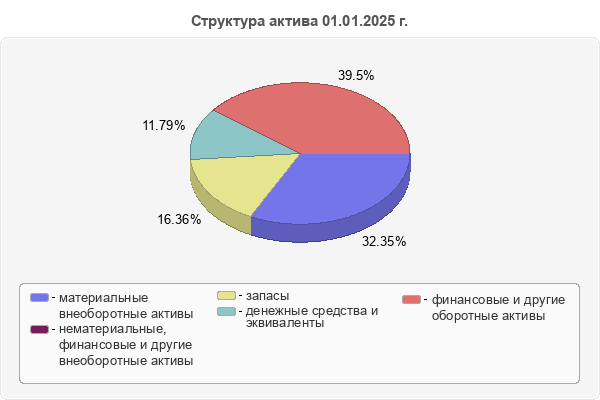 Структура актива 01.01.2025 г.