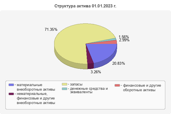 Структура актива 01.01.2023 г.