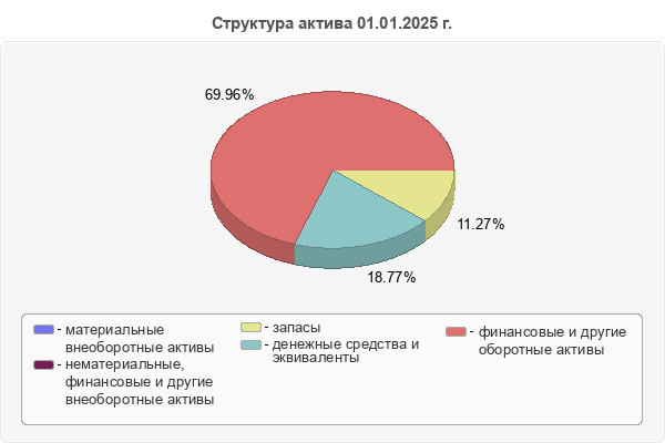 Структура актива 01.01.2025 г.