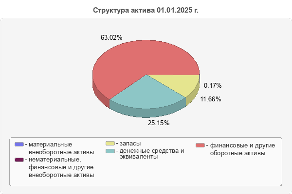 Структура актива 01.01.2025 г.