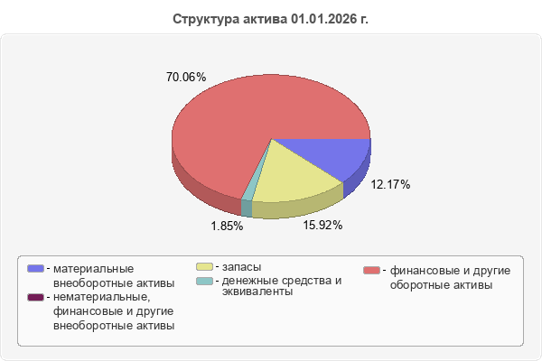 Структура актива 01.01.2026 г.
