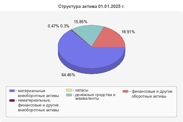 Структура актива 01.01.2025 г.