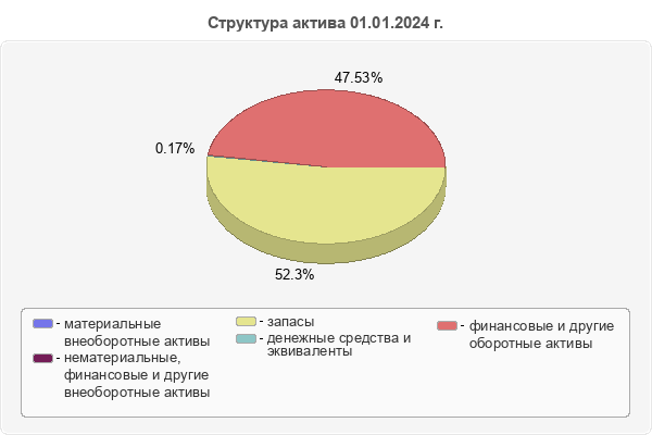 Структура актива 01.01.2024 г.