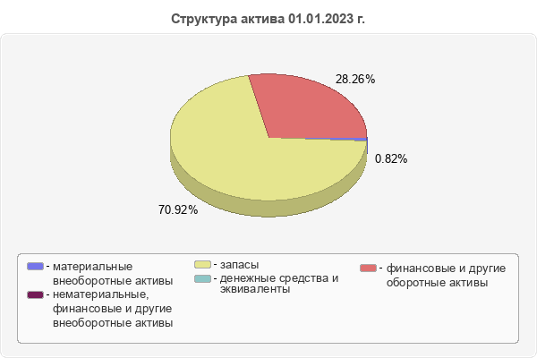 Структура актива 01.01.2023 г.