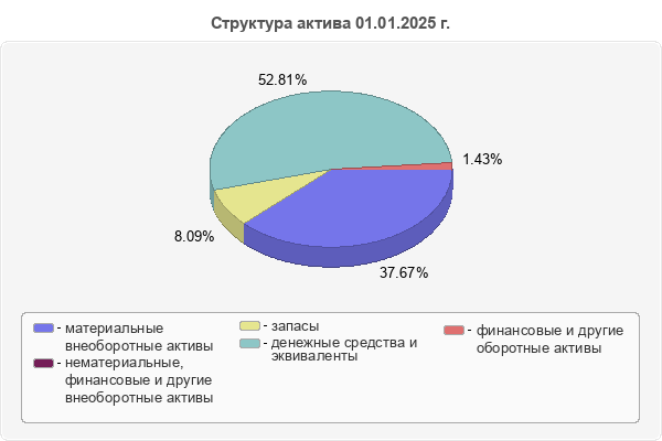 Структура актива 01.01.2025 г.