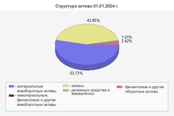 Структура актива 01.01.2024 г.