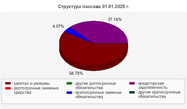 Структура пассива 01.01.2025 г.